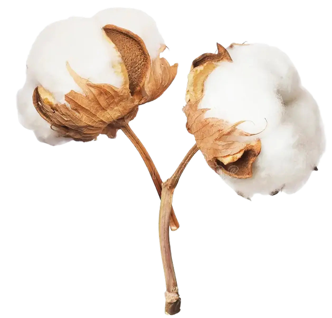 Cotton Decorative 3